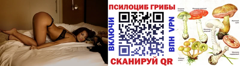 где можно купить наркотик  Новопавловск  Галлюциногенные грибы Cubensis 